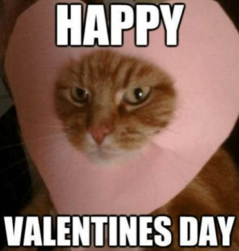 Честит Свети Валентин!